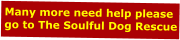 Many more need help please go to The Soulful Dog Rescue