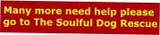 Many more need help please go to The Soulful Dog Rescue